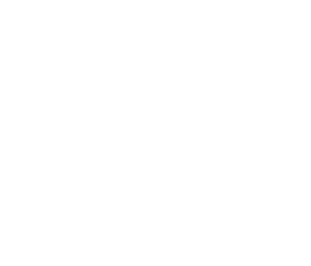SL Möbelfolierung